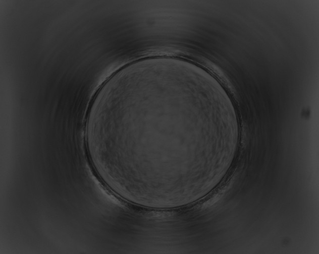 X0000091900802200710031201