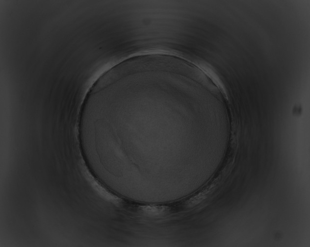 X0000091900805200710031201