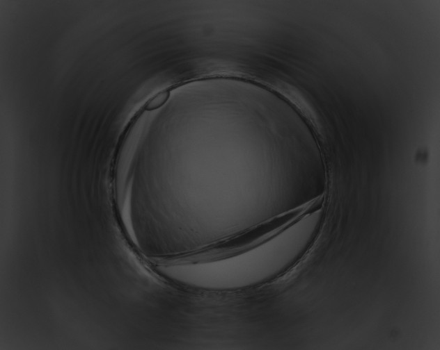 X0000091900806200710031201