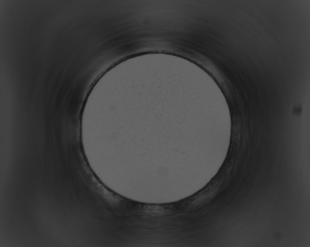 X0000091900807200710031201