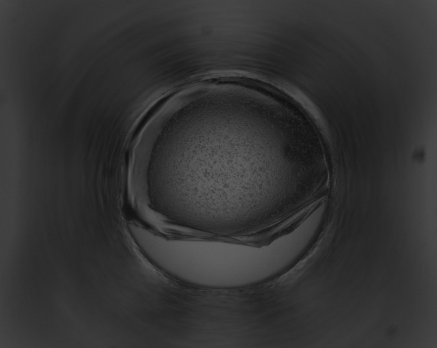 X0000091900809200710031201