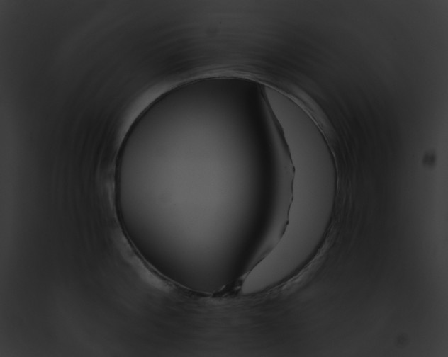 X0000091900812200710031201