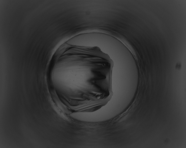 X0000091900813200710031201