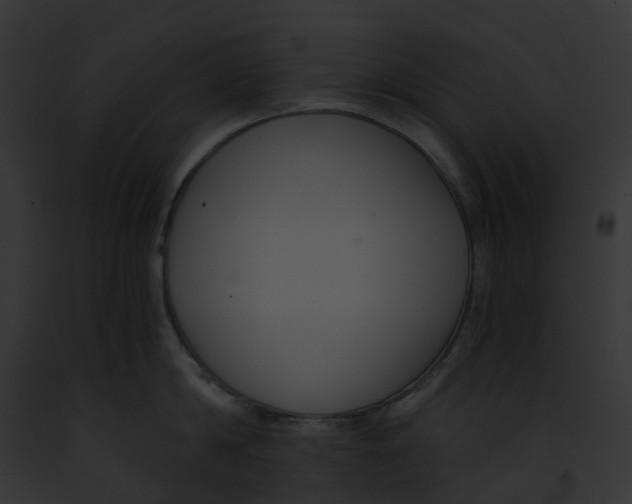 X0000091900814200710031201