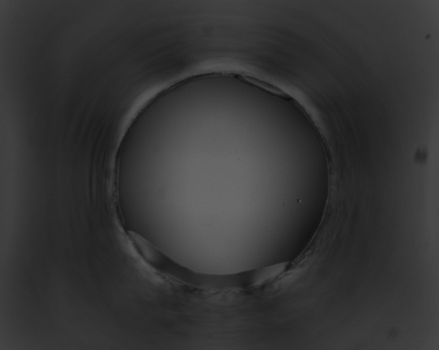 X0000091900815200710031201