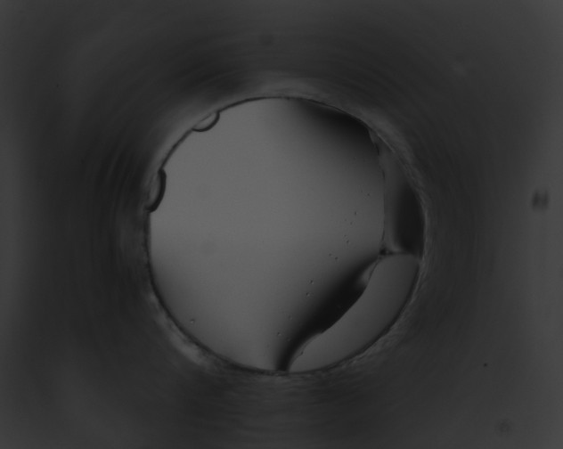 X0000091900816200710031201