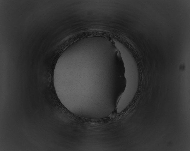 X0000091900821200710031200