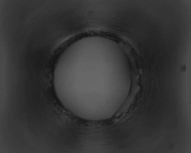 X0000091900822200710031200