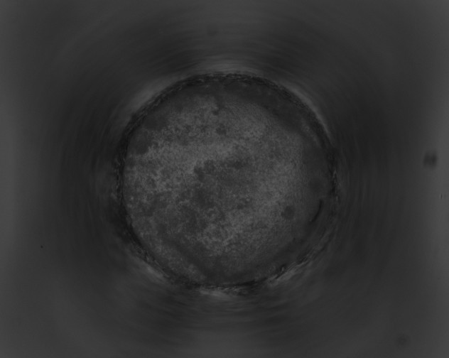 X0000091900823200710031200