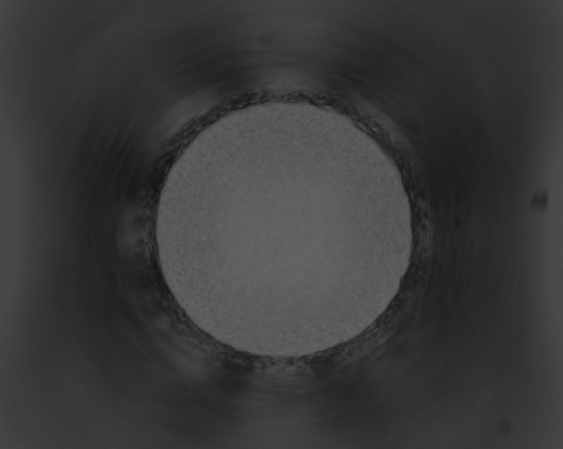 X0000091900824200710031200