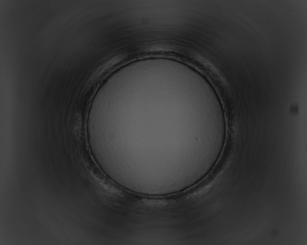 X0000091900825200710031200