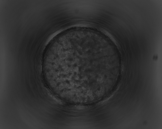 X0000091900829200710031200