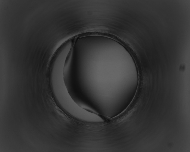 X0000091900830200710031200