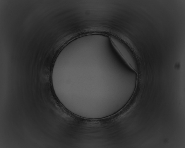 X0000091900833200710031200