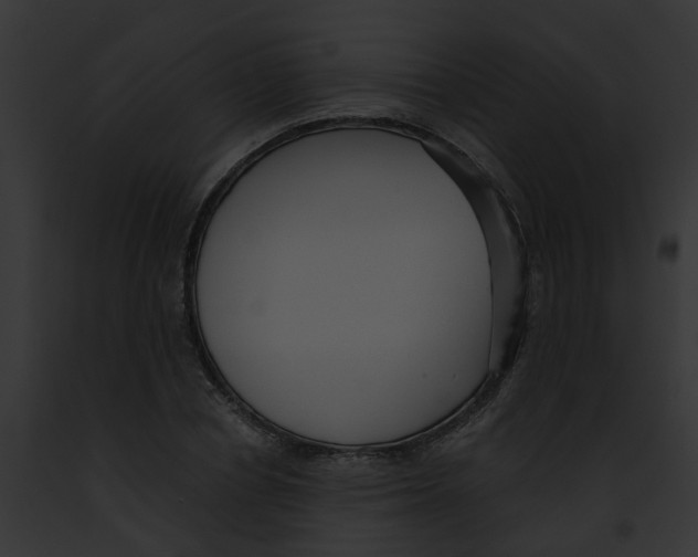 X0000091900834200710031200