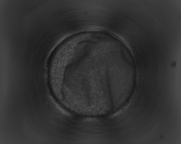 X0000091900835200710031200