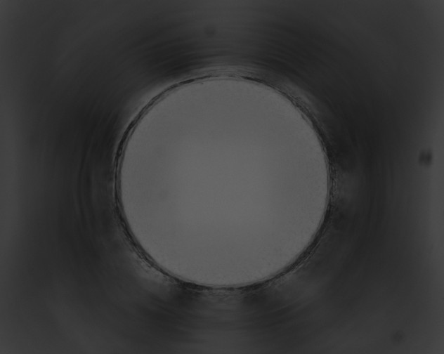 X0000091900836200710031200