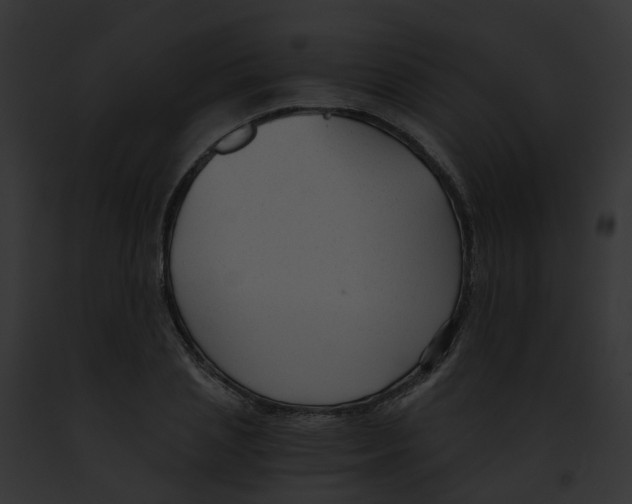 X0000091900837200710031200