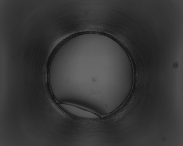 X0000091900838200710031200