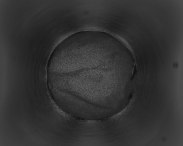 X0000091900839200710031200