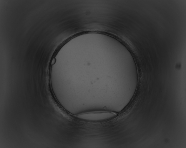 X0000091900840200710031200