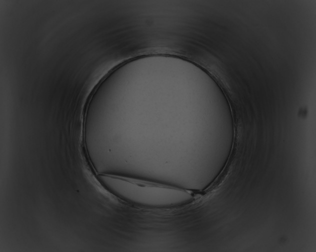 X0000091900844200710031200