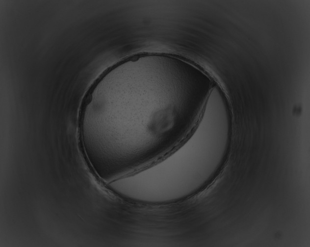 X0000091900845200710031200