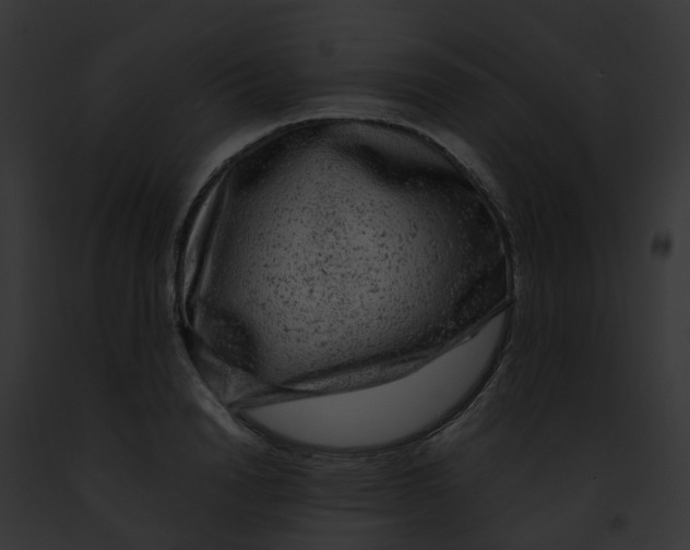 X0000091900846200710031200