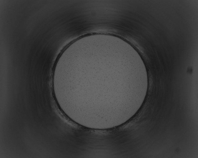 X0000091900848200710031200