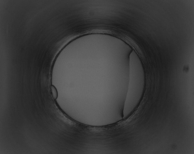 X0000091900852200710031200