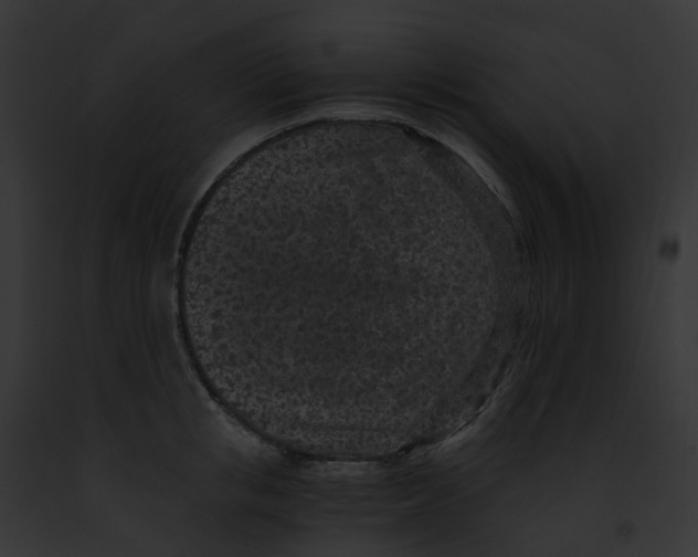 X0000091900853200710031200