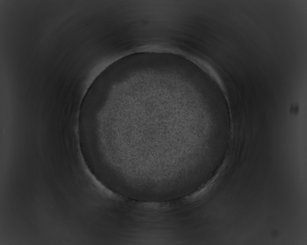 X0000091900855200710031200