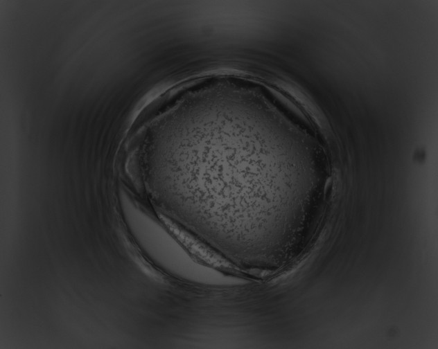 X0000091900858200710031201