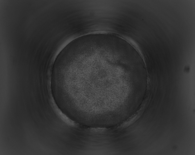 X0000091900859200710031201