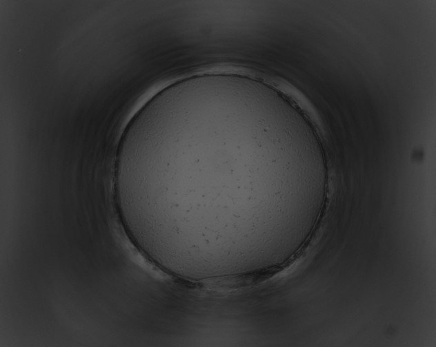 X0000091900860200710031201