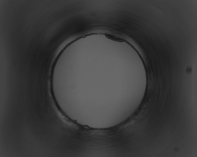 X0000091900861200710031201