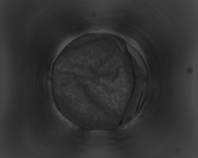 X0000091900863200710031201