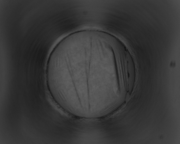 X0000091900864200710031201