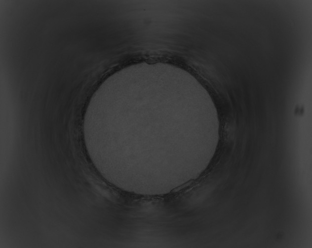 X0000091900865200710031200