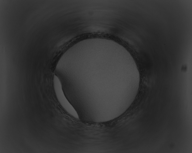 X0000091900869200710031200