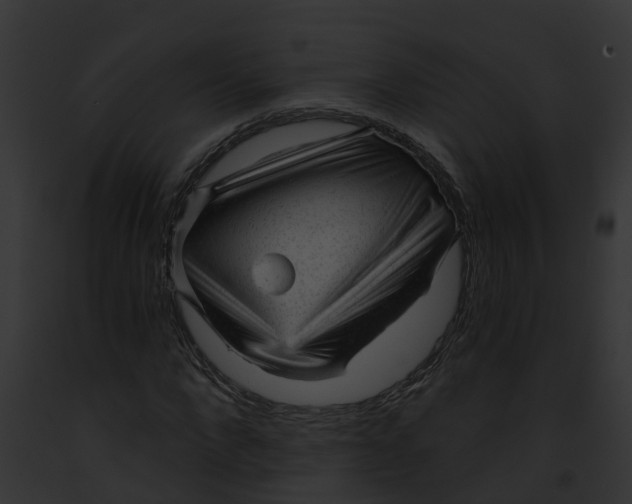 X0000091900872200710031200