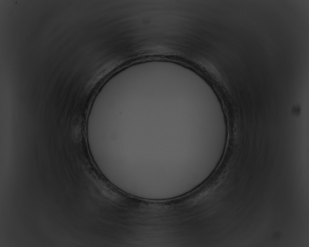 X0000091900873200710031200