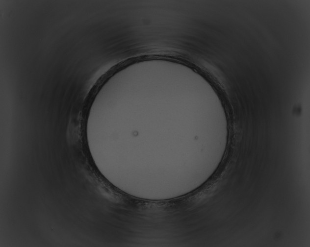 X0000091900875200710031200