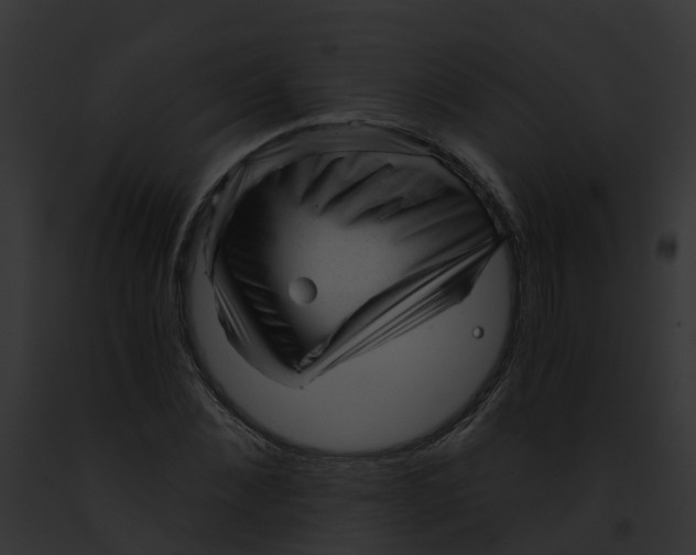 X0000091900876200710031200