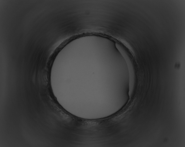 X0000091900878200710031200