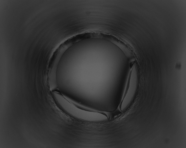 X0000091900880200710031200