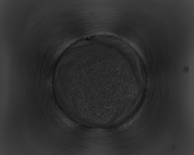 X0000091900881200710031200