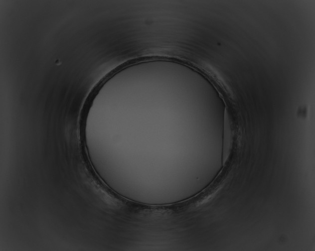 X0000091900884200710031200