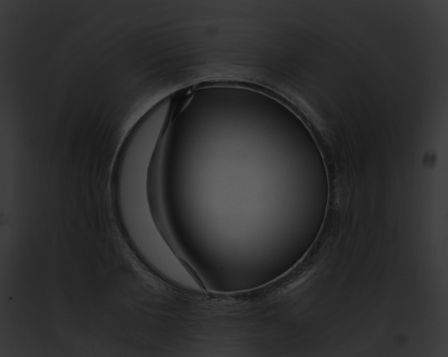 X0000091900885200710031200