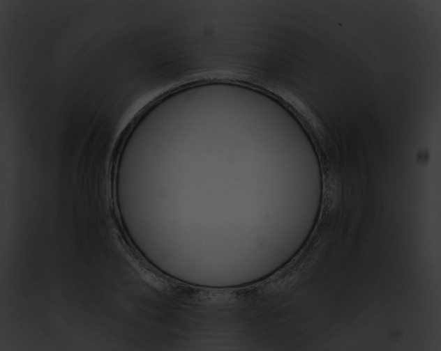 X0000091900886200710031200